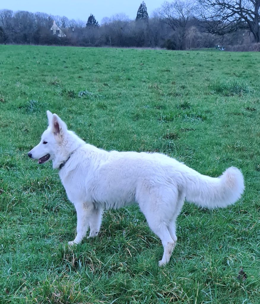 Theia (Sans Affixe)