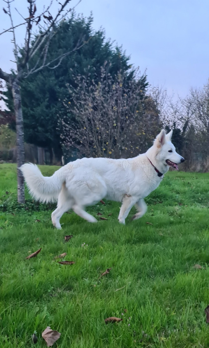 Prochaine portée juillet 2026