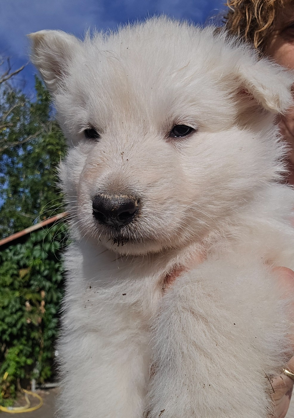 Btwin à l adoption
